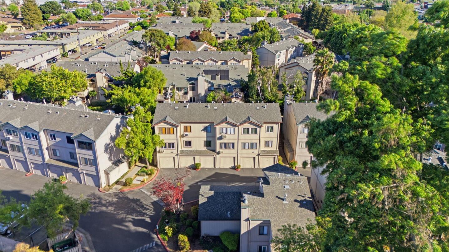 1264 Coyote Creek Place