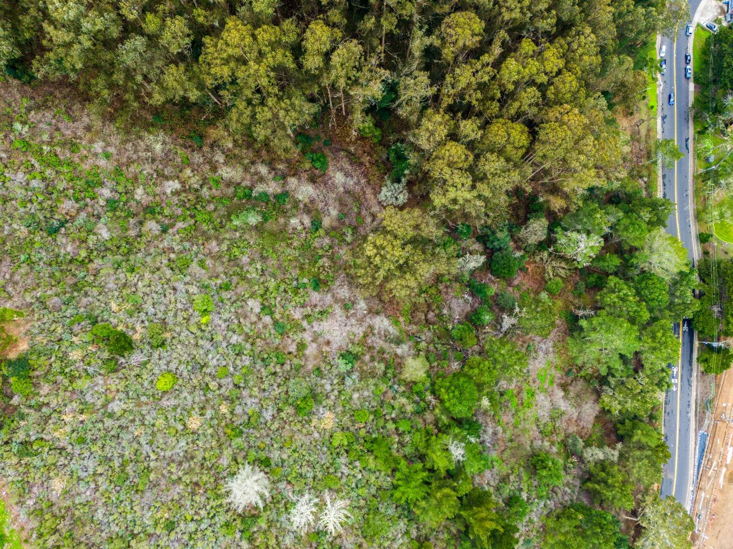 0 Everglades