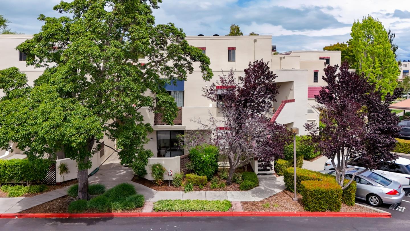 127 Shorebird Circle