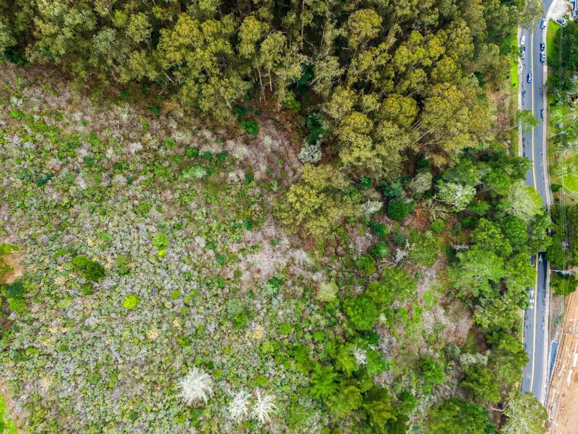 0 Everglades DR
