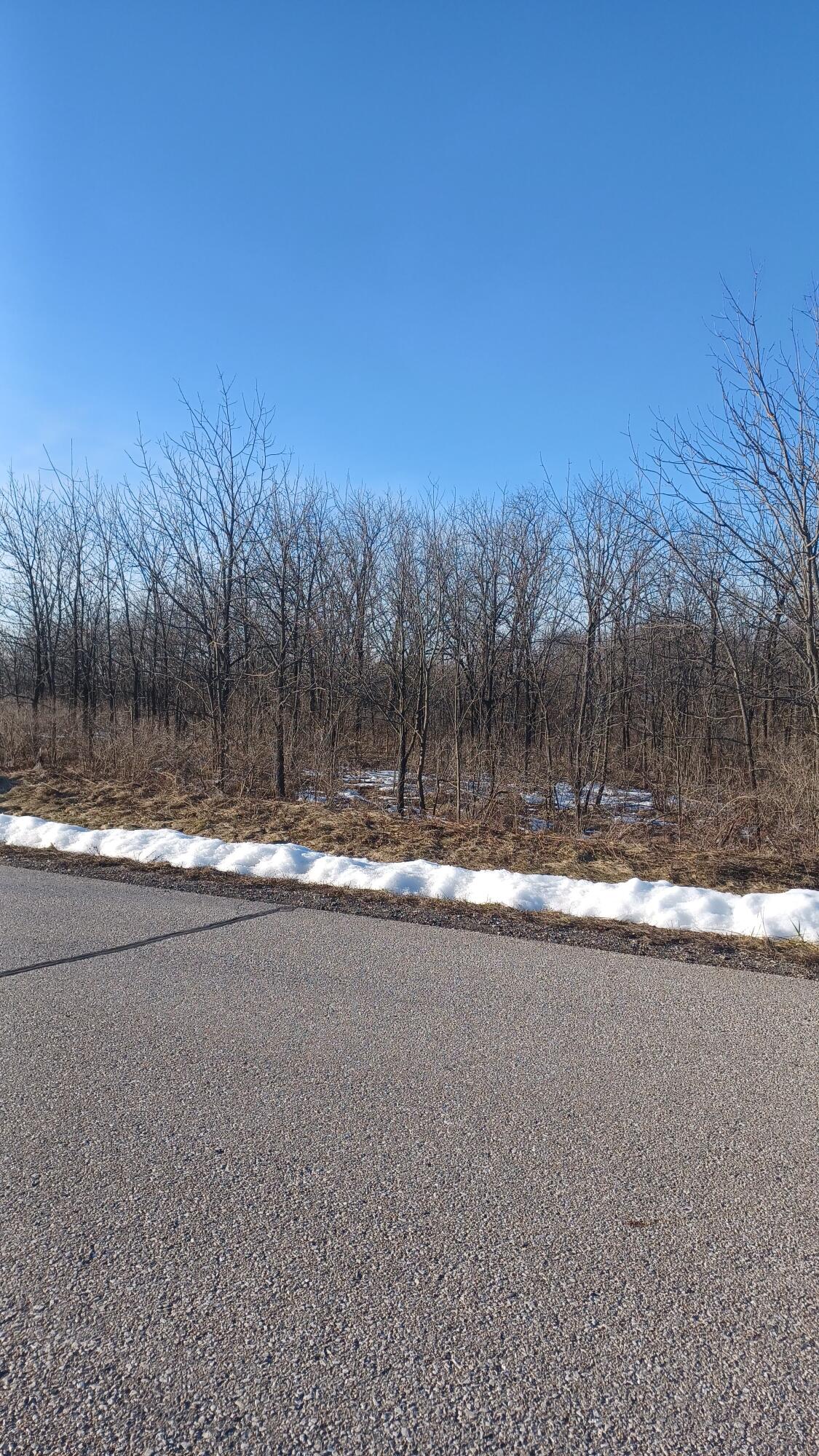 Wooded vacant lot beside a paved road, with leafless trees and patches of snow.