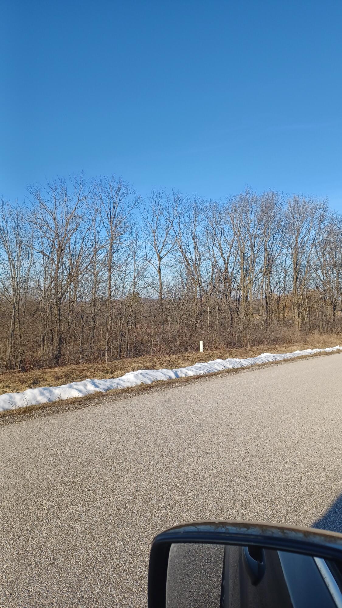 Wooded vacant lot beside a paved road, with leafless trees and patches of snow.