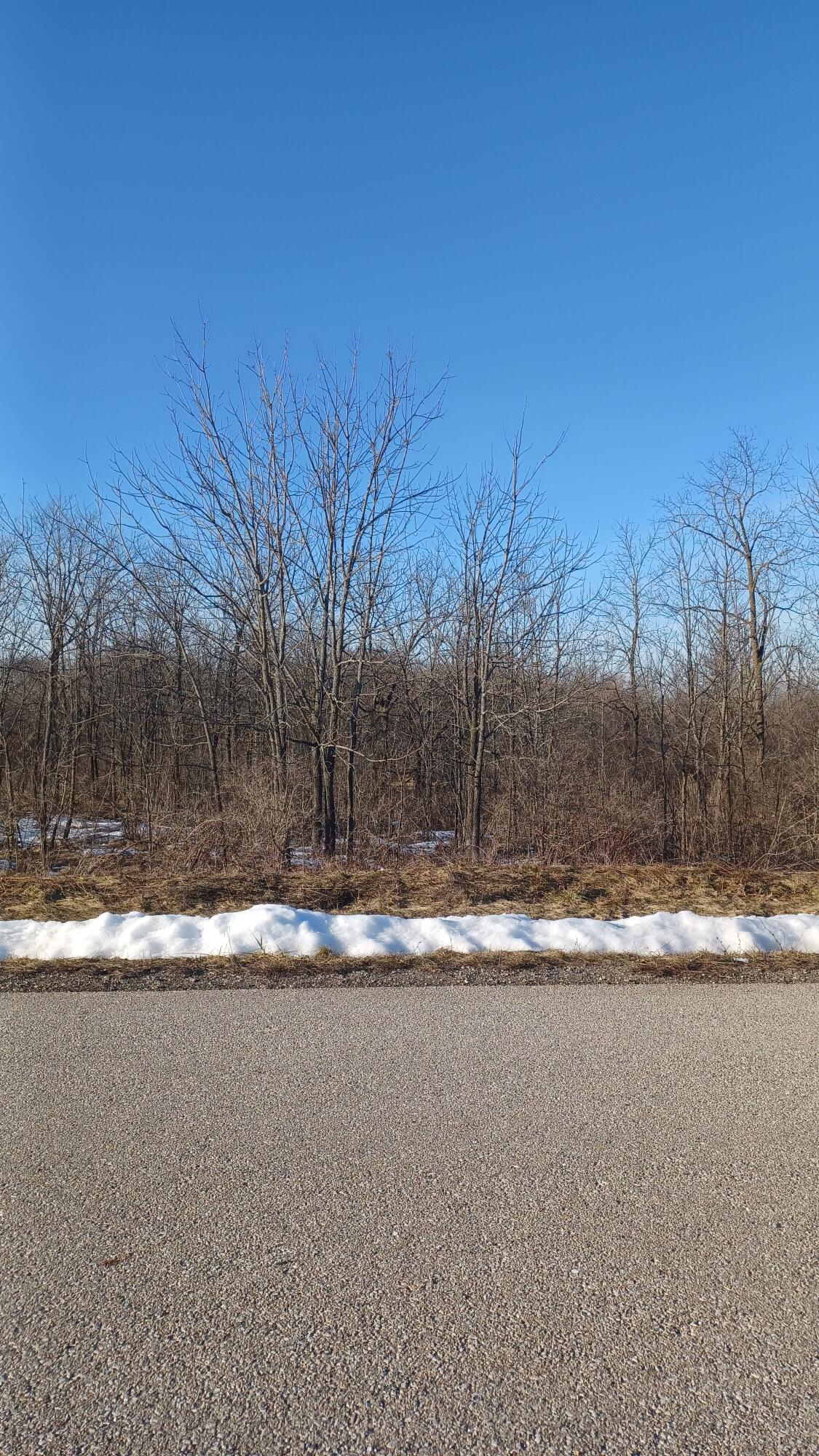 Wooded vacant lot with leafless trees and patches of snow across a paved road.