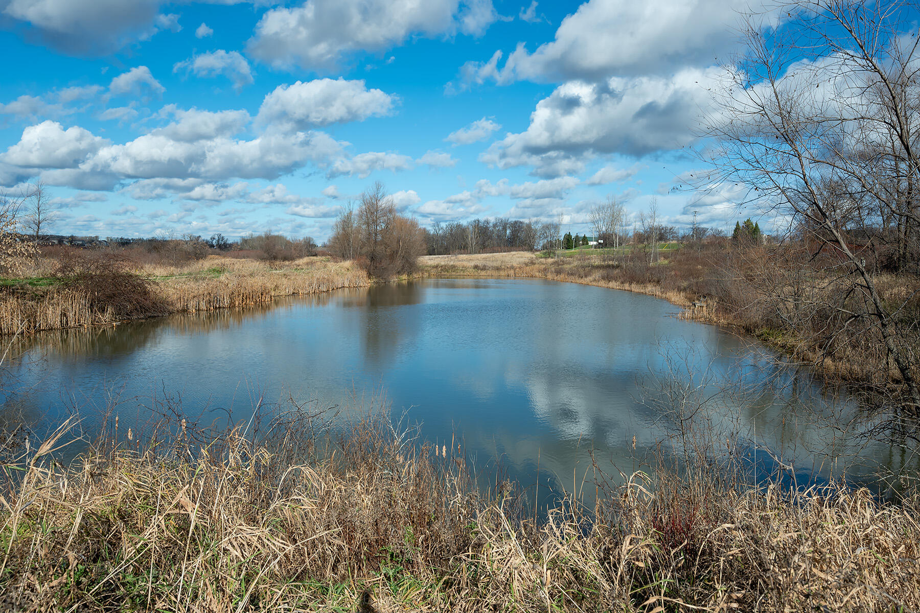 N8020 Woodland Ct