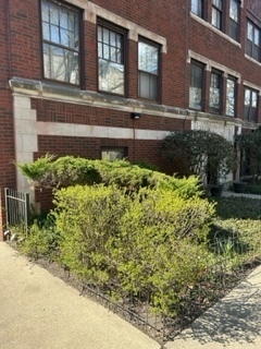 440 Elmwood Street Unit: G