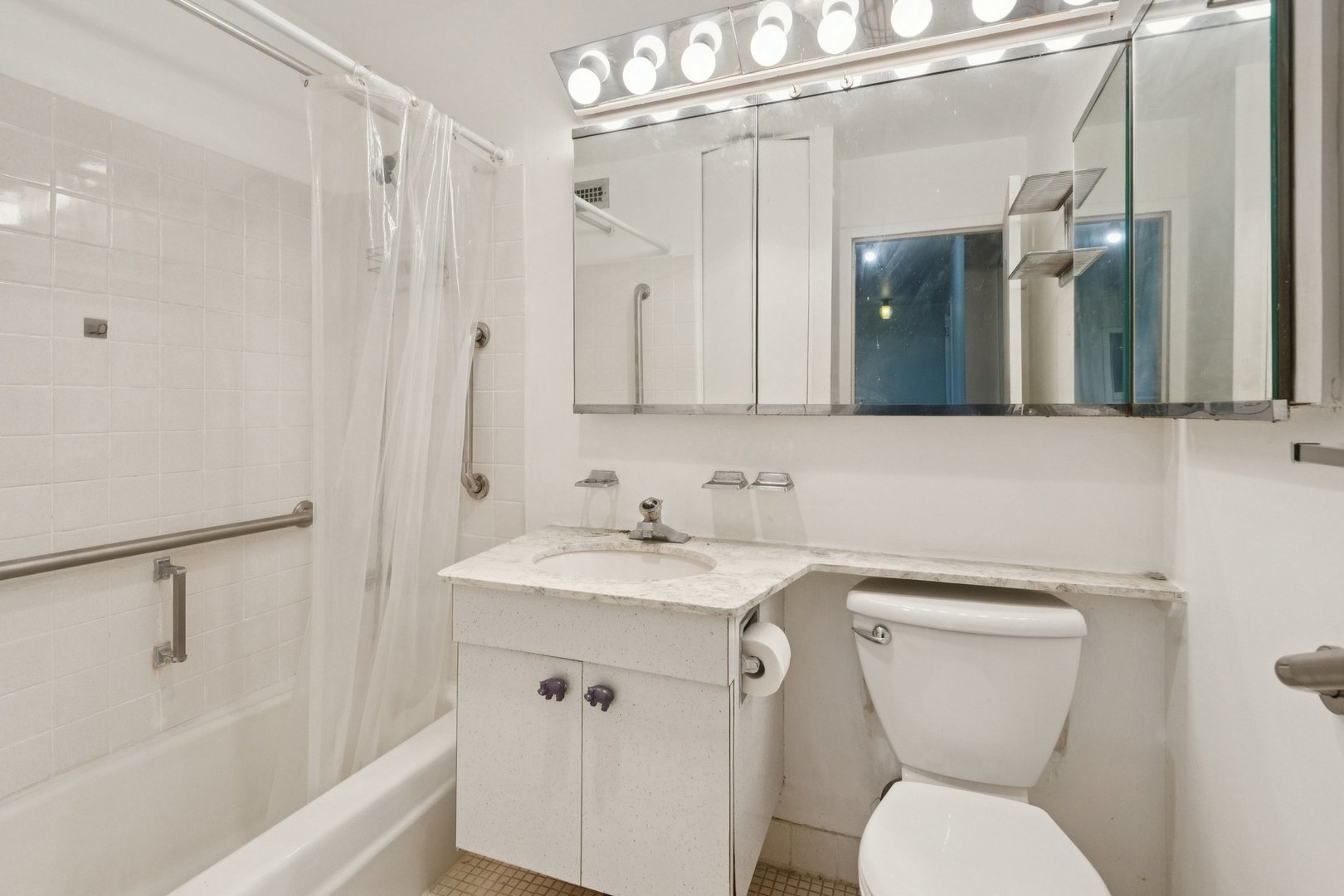 1255 N Sandburg Terrace Unit: 2402