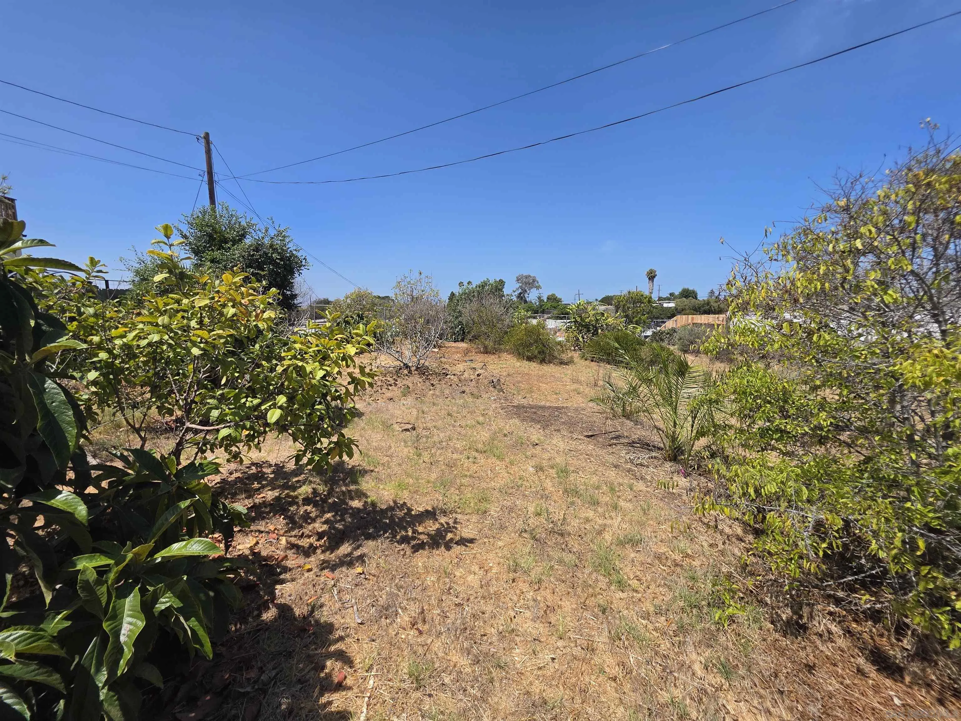 941 Cuyamaca