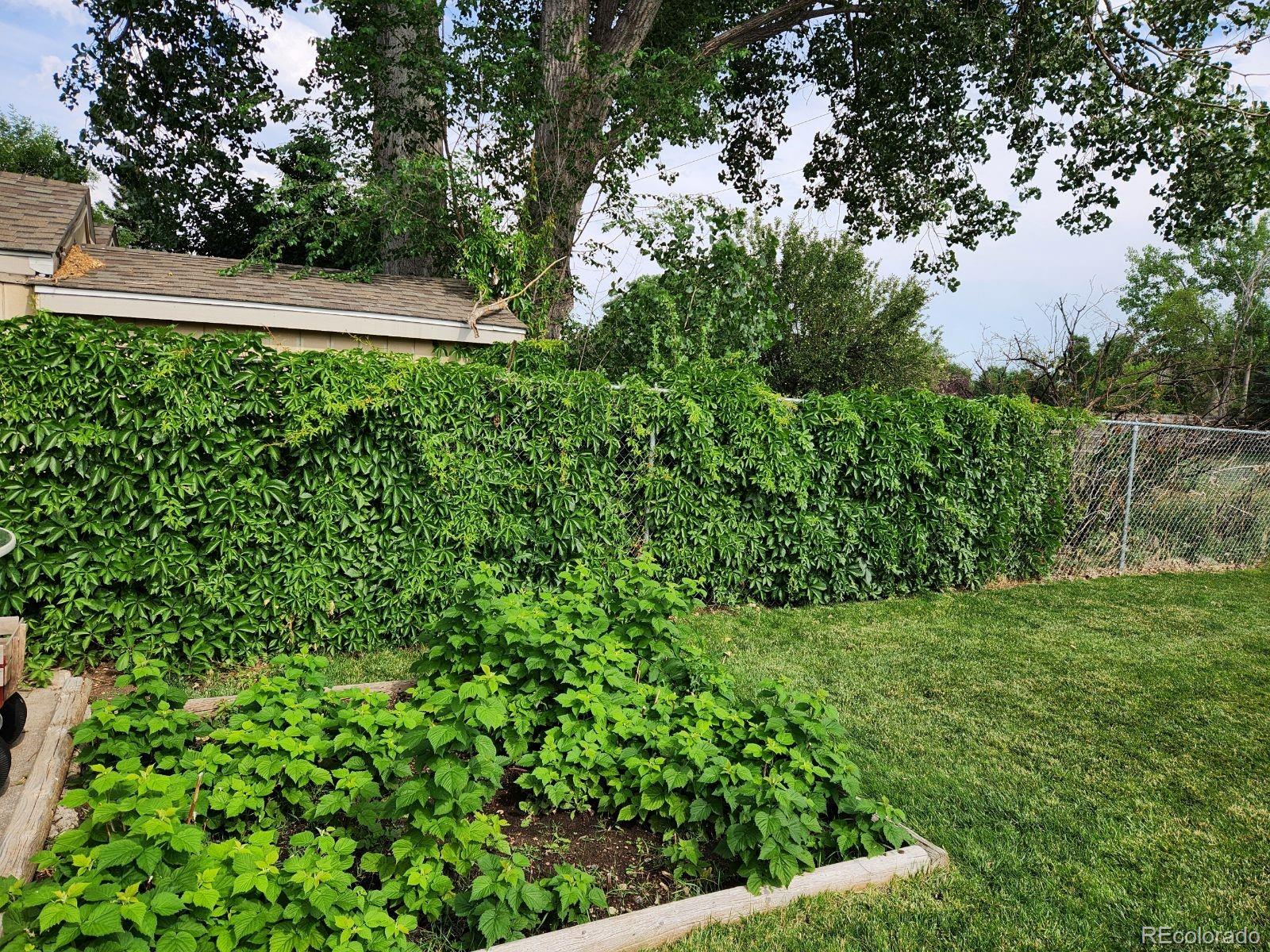 11708 W Katherine Avenue