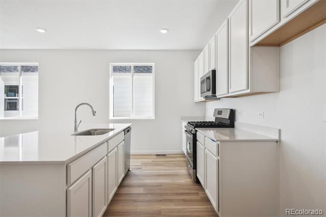 230 Lark Sparrow Way