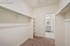 2206 Teachout Creek Court