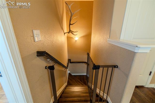 4027 Silver Star Grove