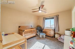 4027 Silver Star Grove