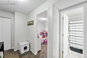 4958 Witches Hollow Lane
