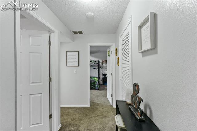 4958 Witches Hollow Lane