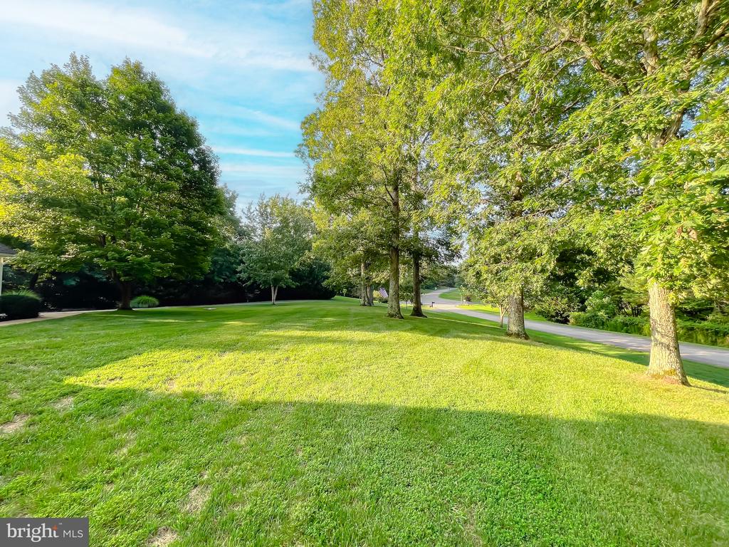 21104 Rosebay Way