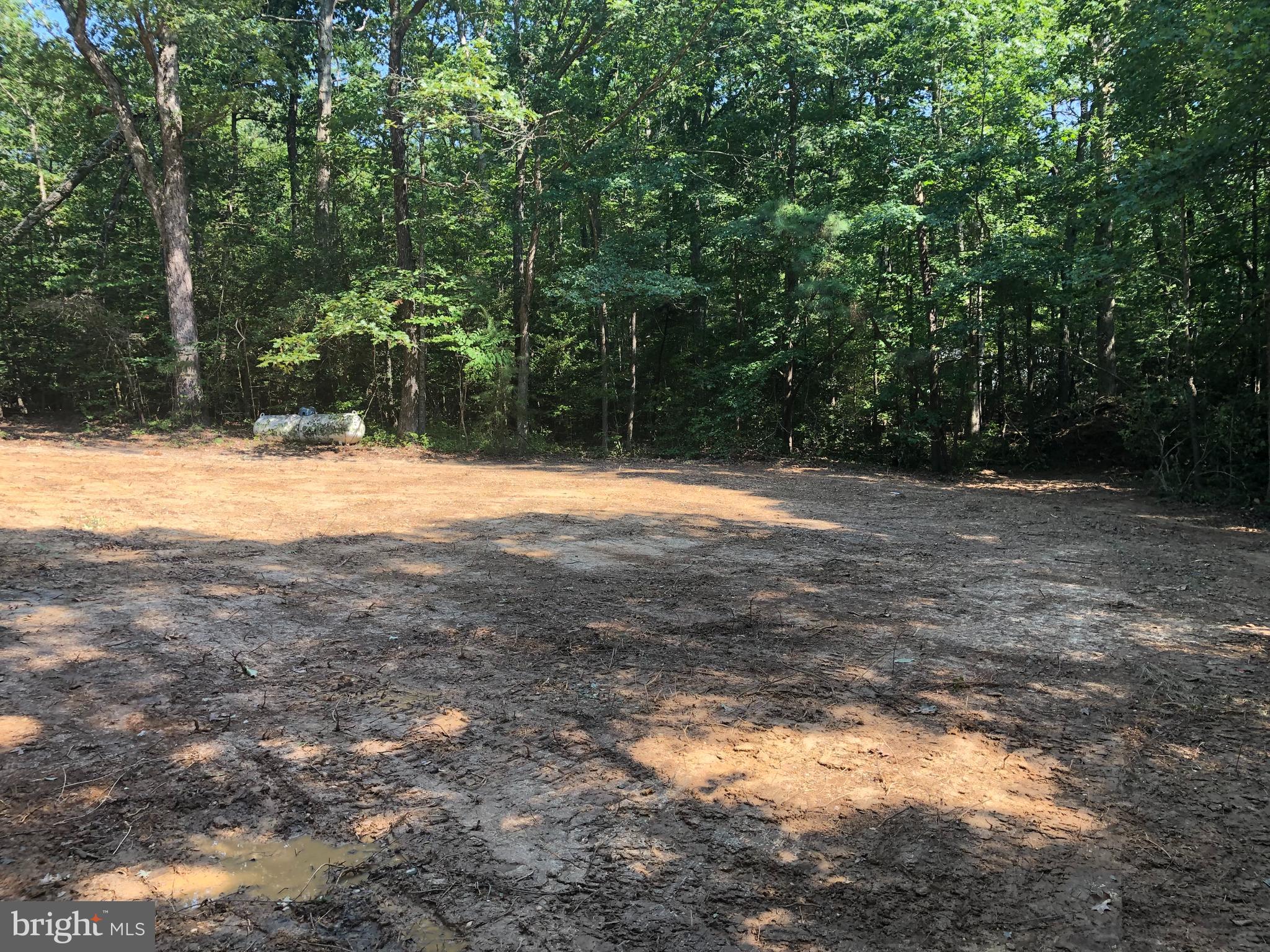 44471 Hawks Nest Estate Ln