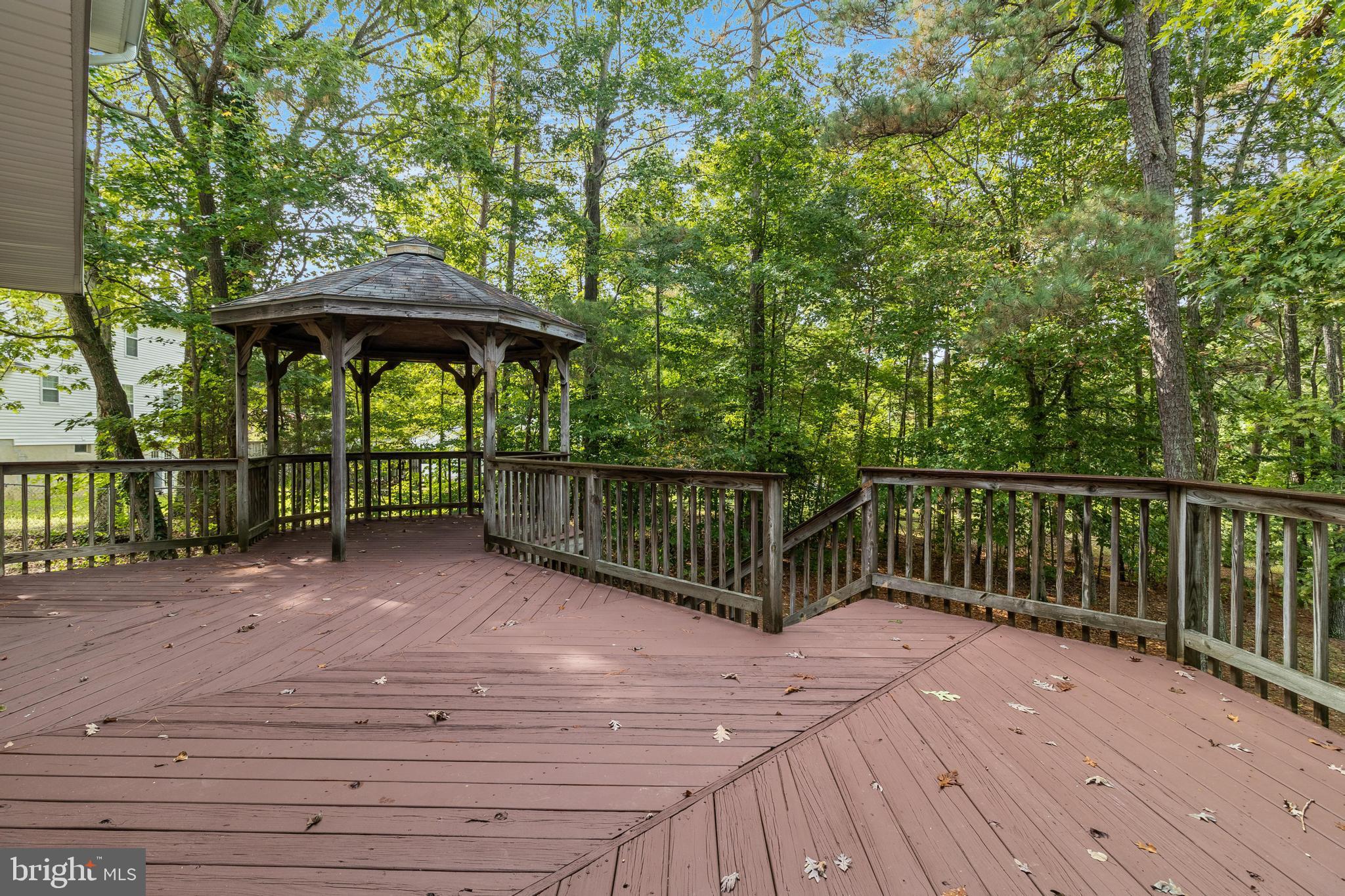 20929 Black Duck Ct