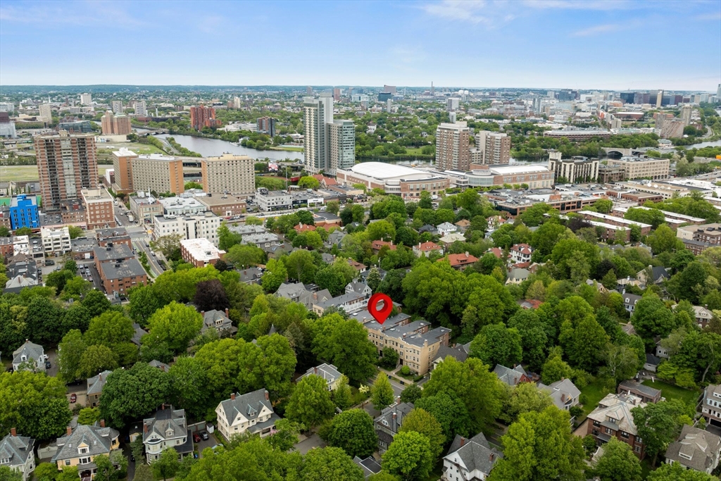 183 Babcock Street # 1