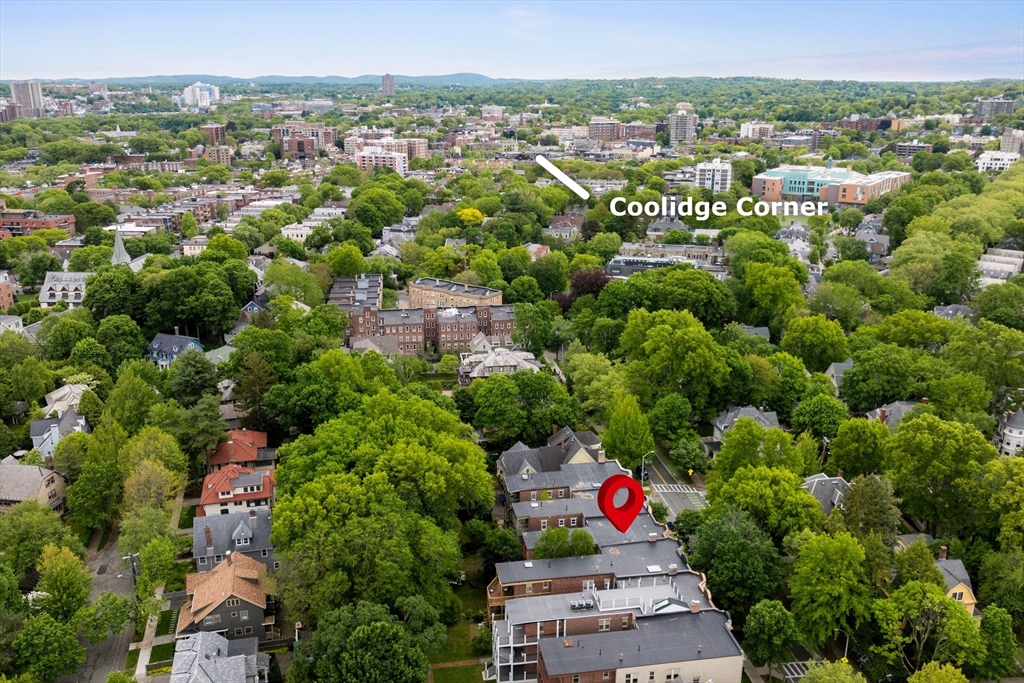 183 Babcock Street # 1