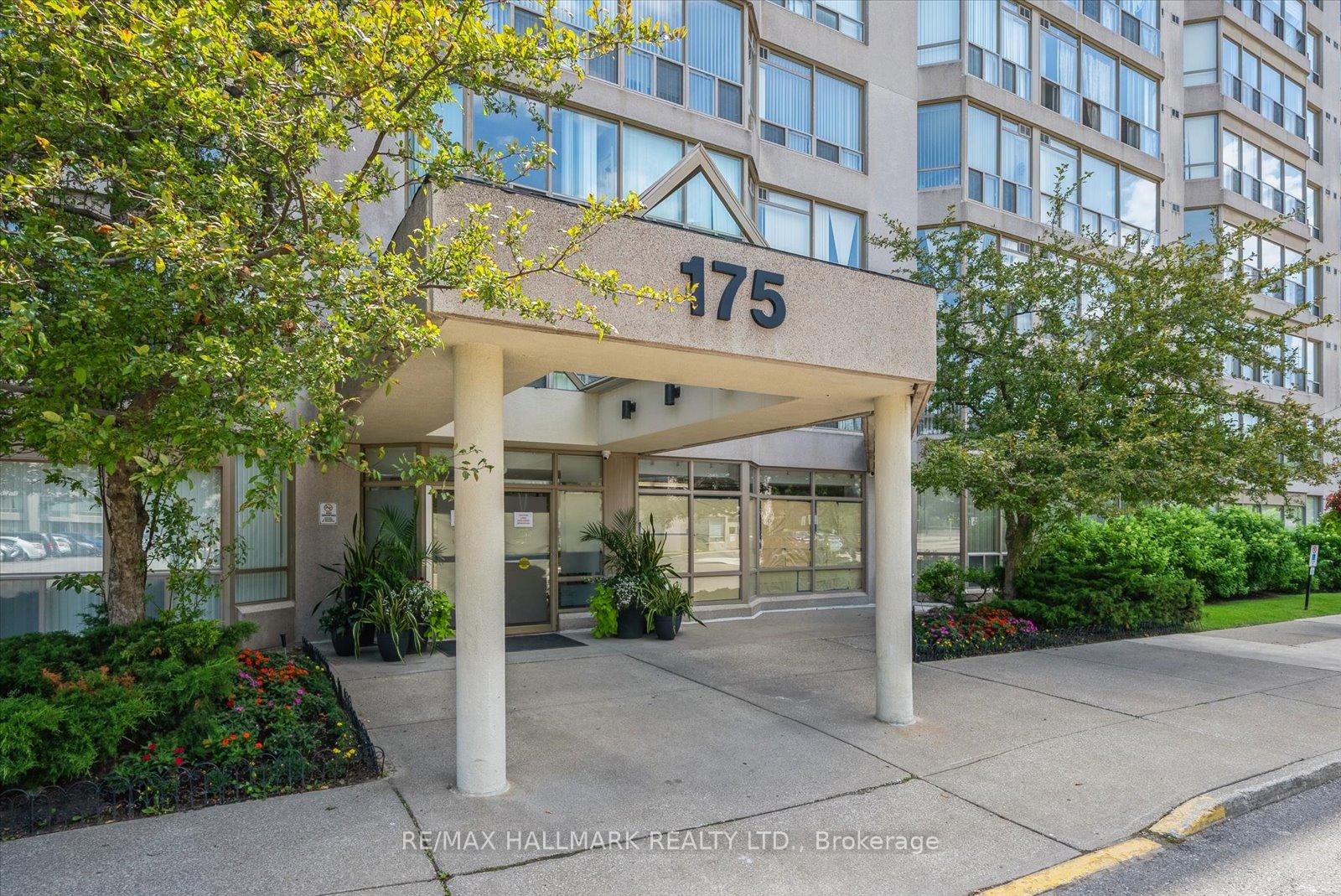 175 Cedar Avenue 704