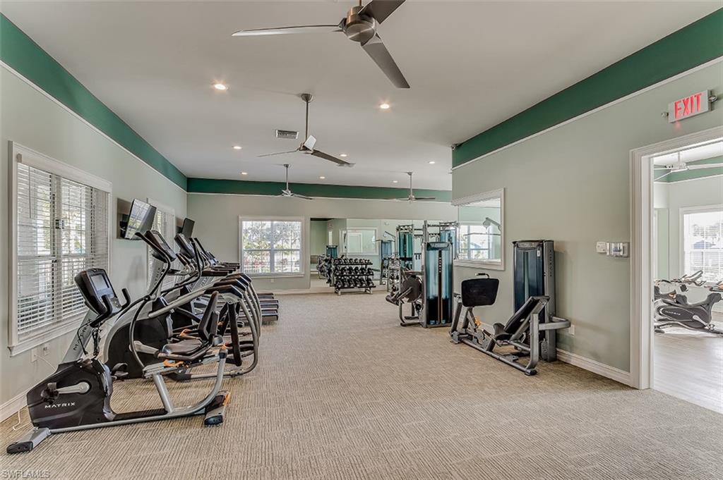 28198 Captiva Shell LOOP