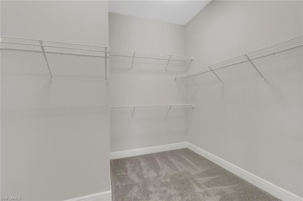 3239 Pilot CIR