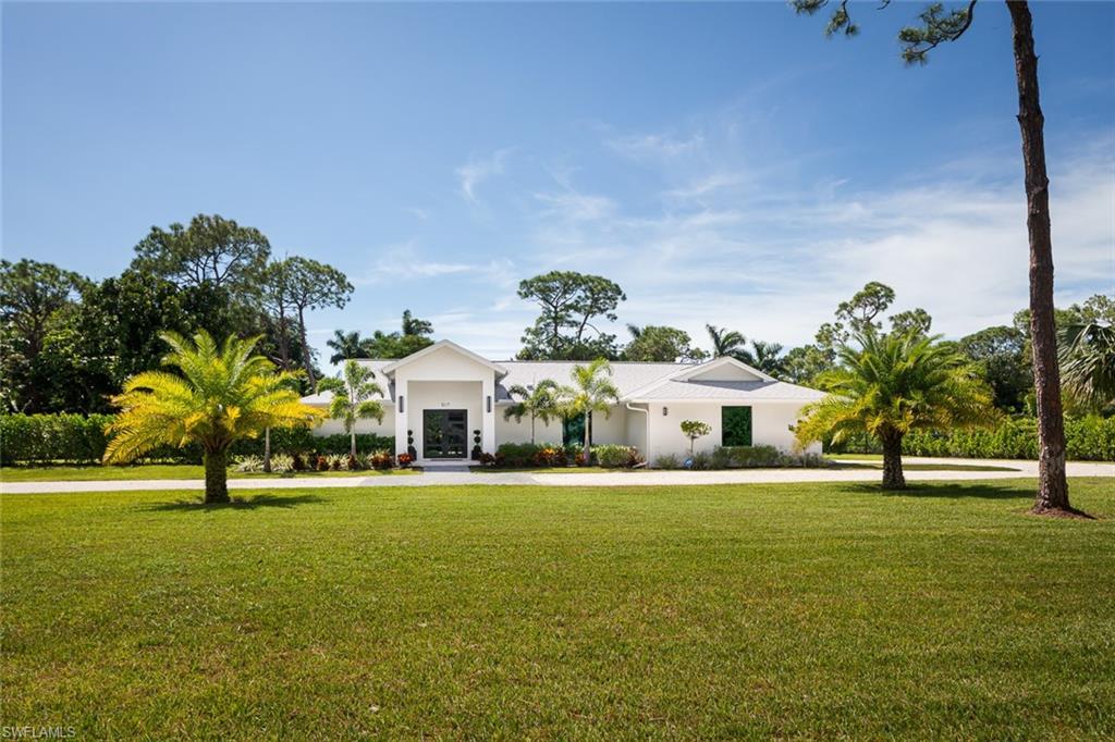 517 Gordonia