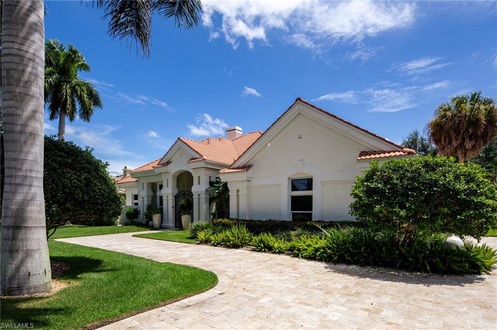 1331 Little Blue Heron CT