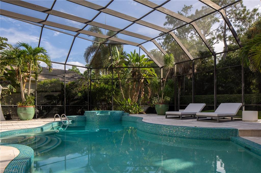 1331 Little Blue Heron CT
