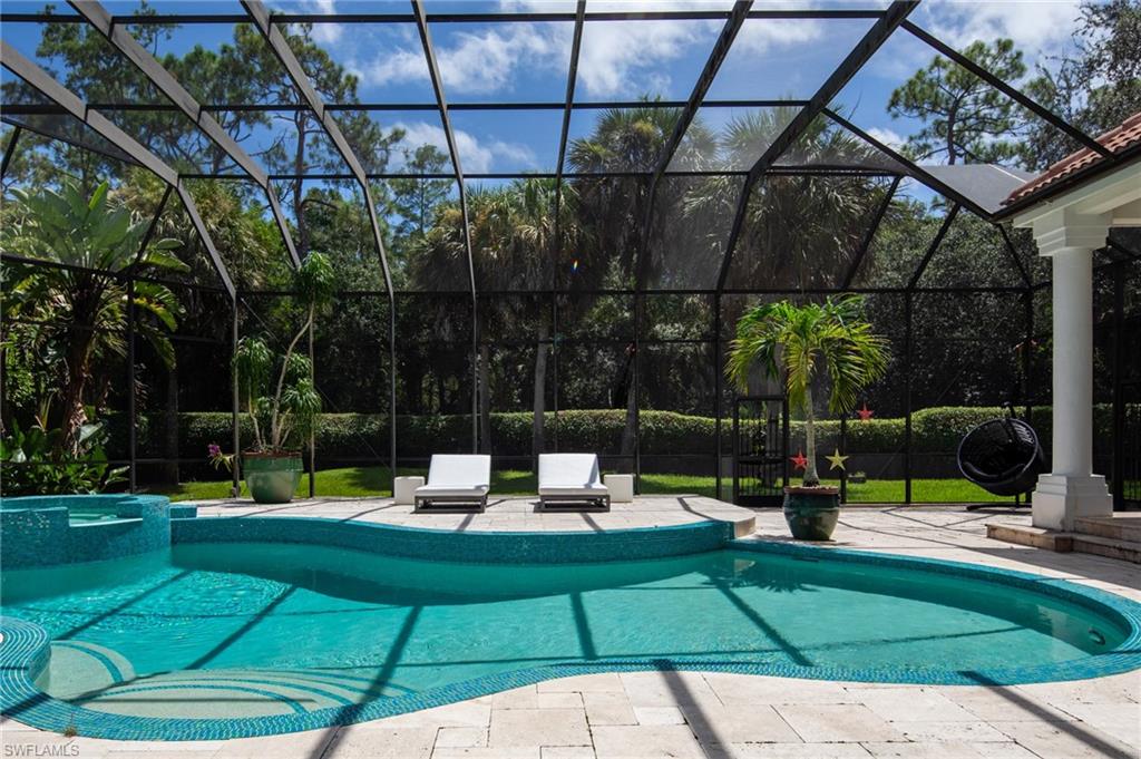 1331 Little Blue Heron CT