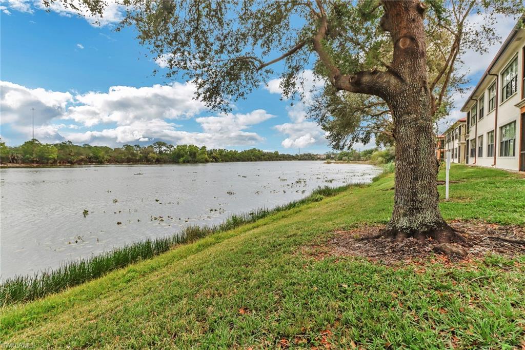 1296 Verde DR # 3