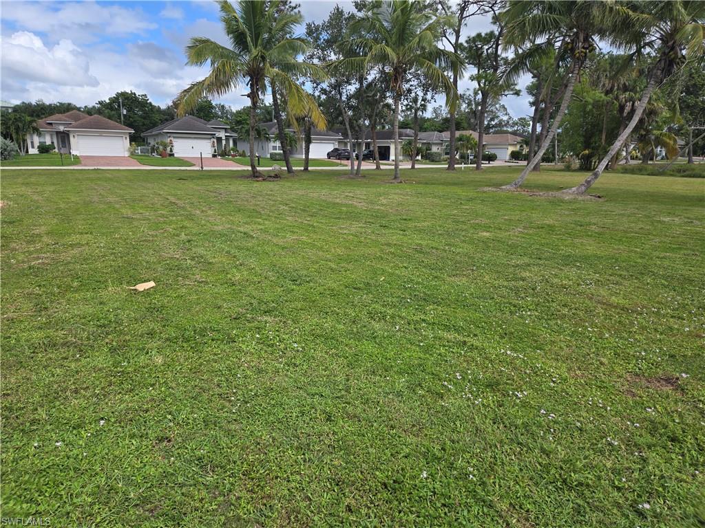 Linda DR, NAPLES