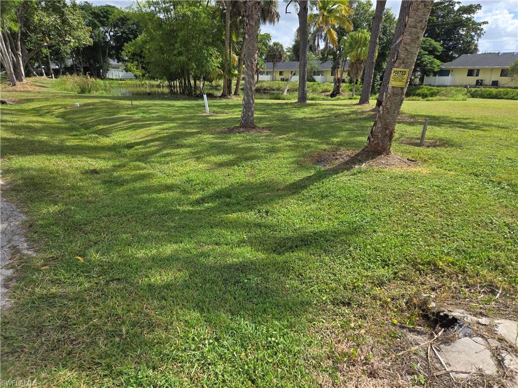 Linda DR, NAPLES