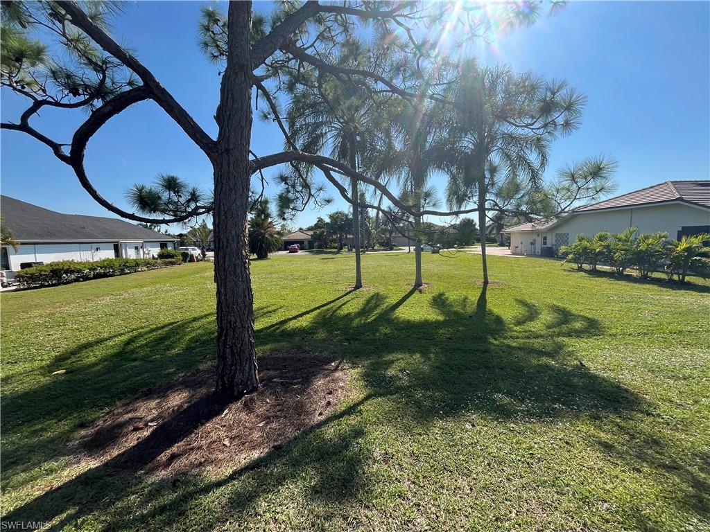 9954 Ortega LN