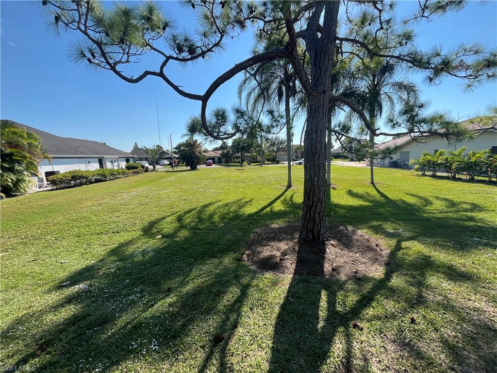 9954 Ortega LN