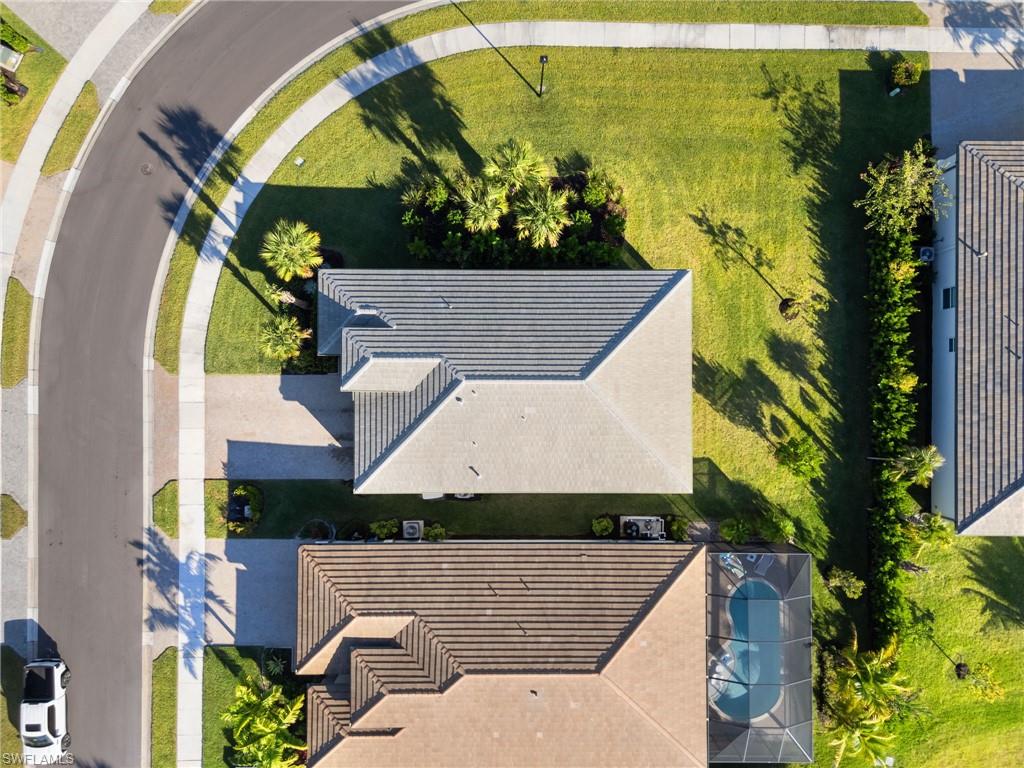 12372 Dahlia CT