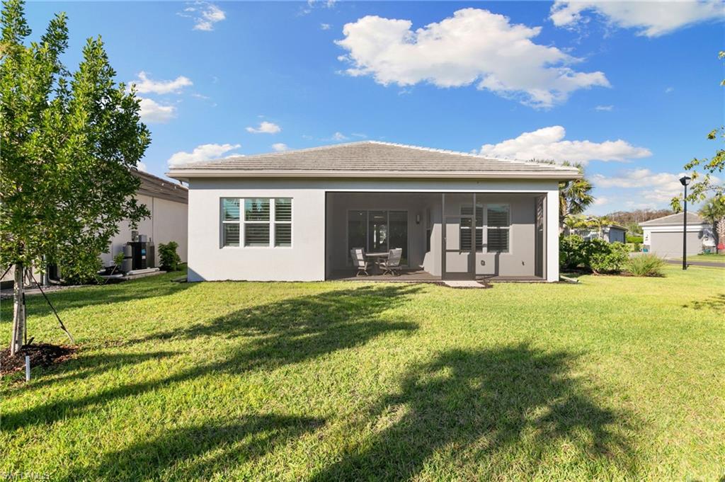 12372 Dahlia CT