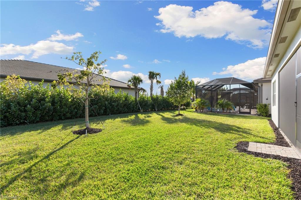 12372 Dahlia CT