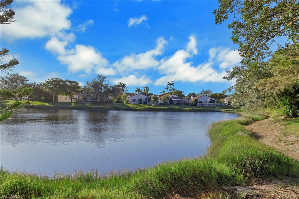 20005 Alana CT