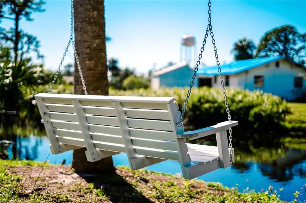 23302/23310 Robin DR