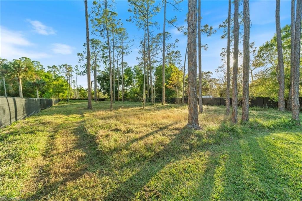5858 Star Grass LN