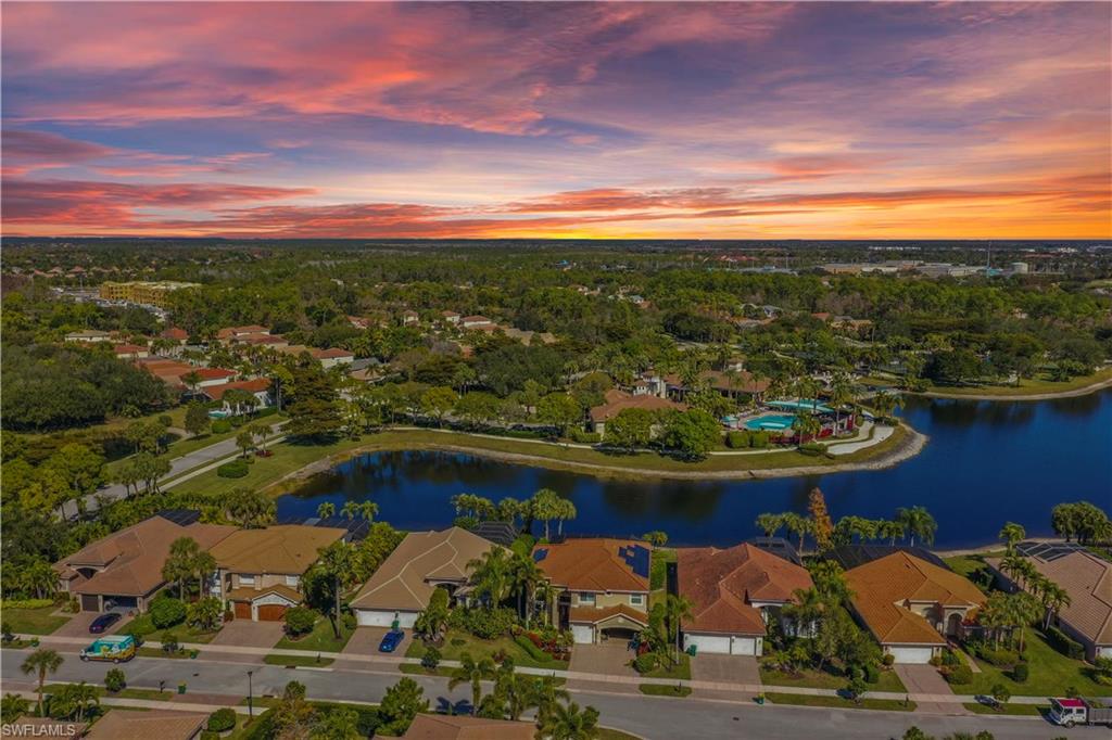 1411 Princess Sabal PT