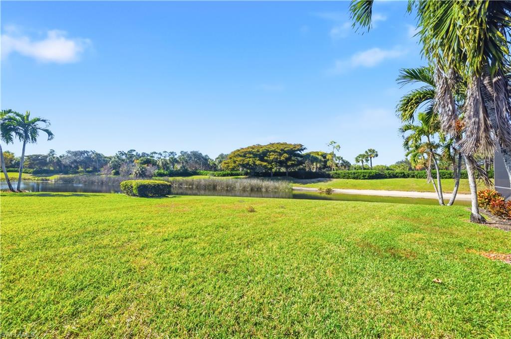 1411 Princess Sabal PT