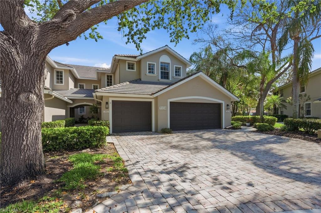 7134 Blue Juniper CT 202