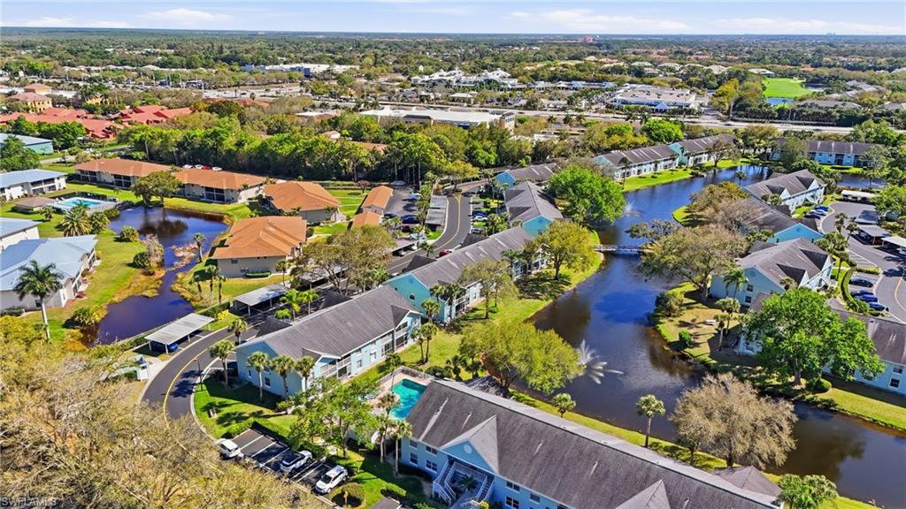 141 Wading Bird CIR G102