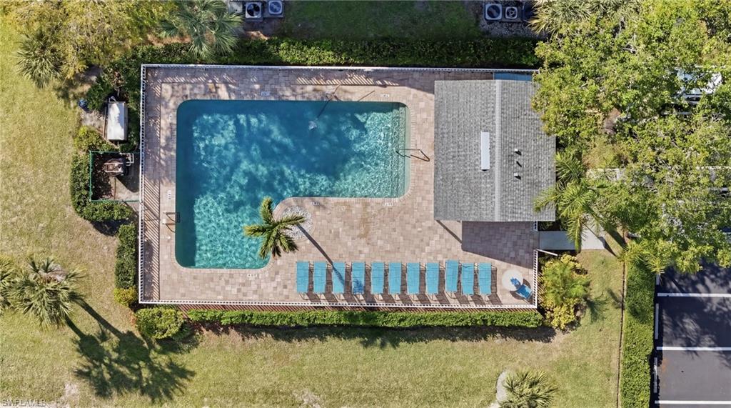 141 Wading Bird CIR G102