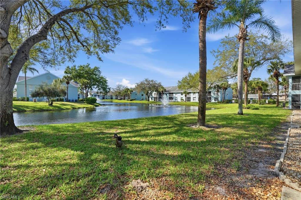 141 Wading Bird CIR G102