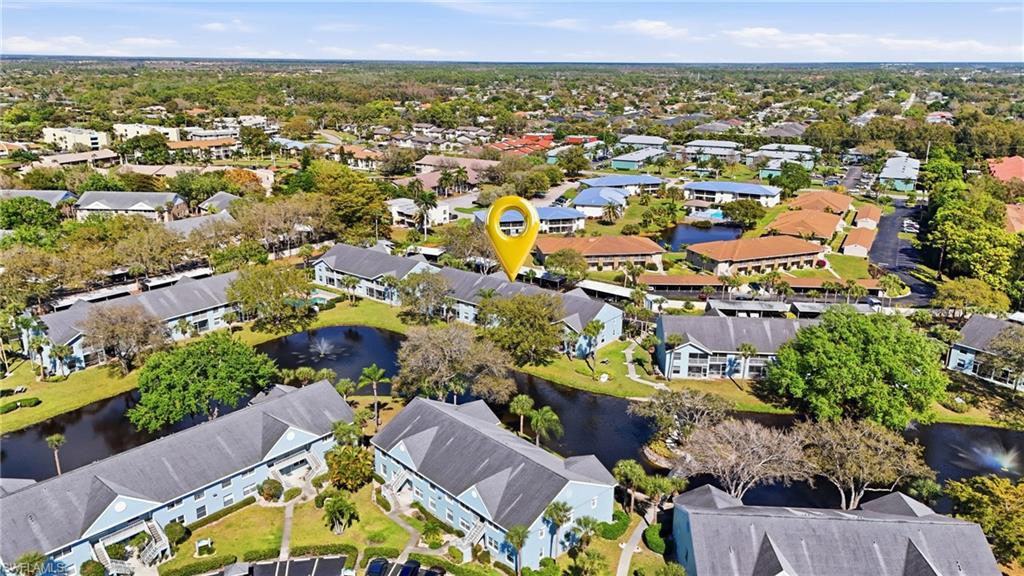 141 Wading Bird CIR G102
