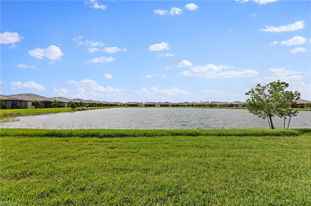 11541 Timber Creek DR