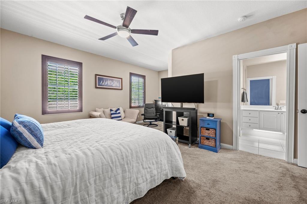 29020 Alessandria CIR